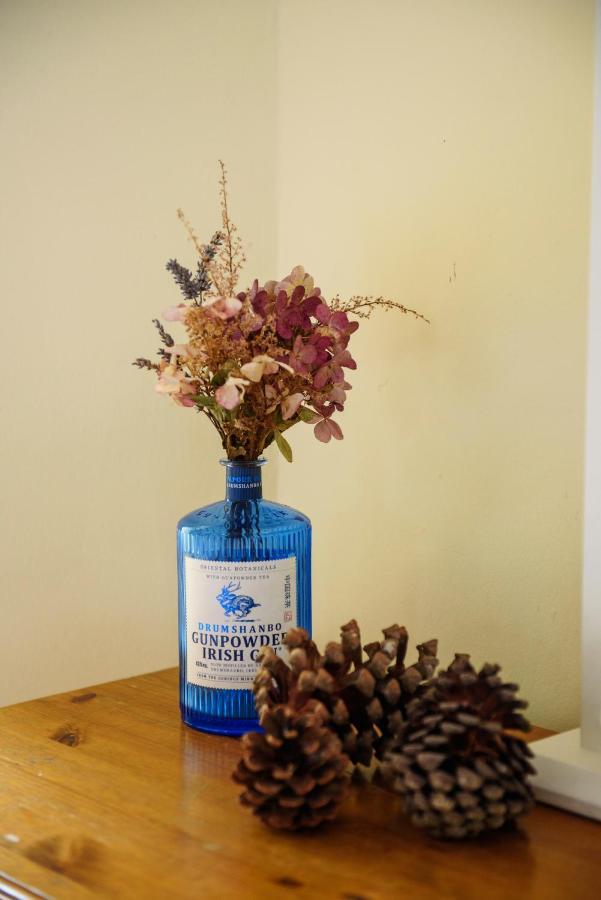 Waterfront Self Catering Houses Carrick on Shannon 外观 照片