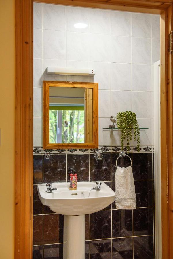 Waterfront Self Catering Houses Carrick on Shannon 外观 照片
