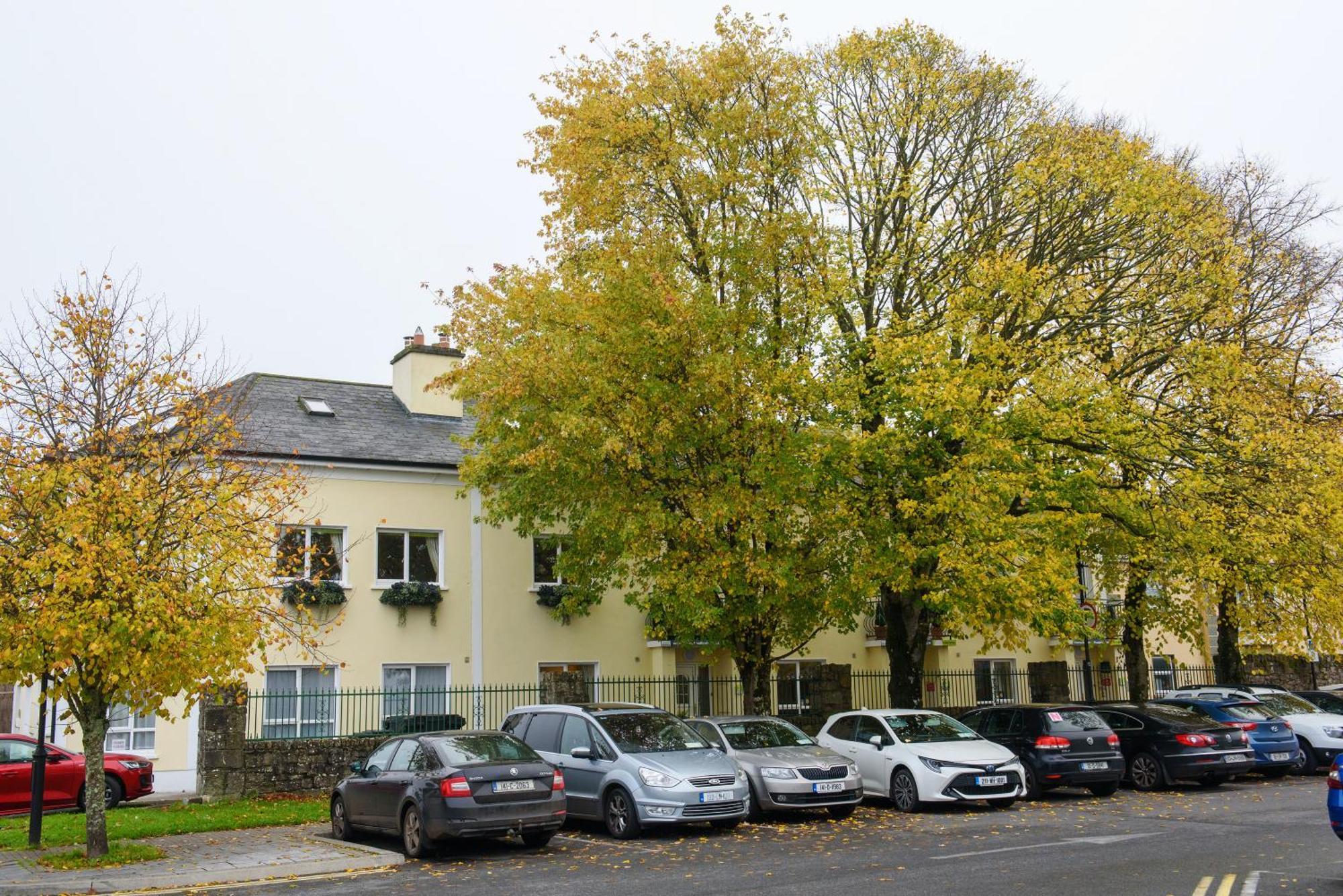 Waterfront Self Catering Houses Carrick on Shannon 外观 照片