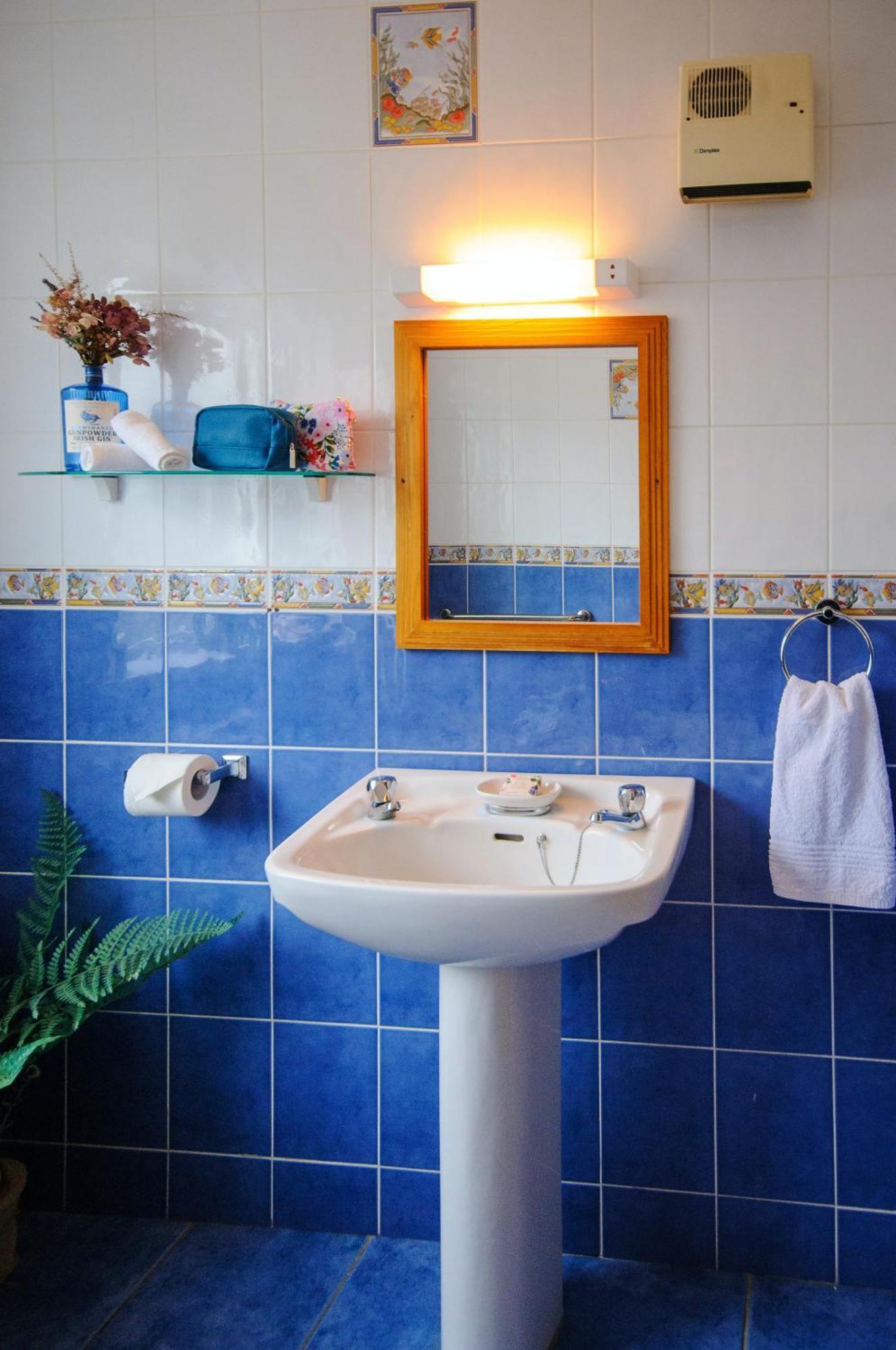 Waterfront Self Catering Houses Carrick on Shannon 外观 照片